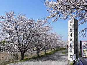 20110413odani (3).jpg